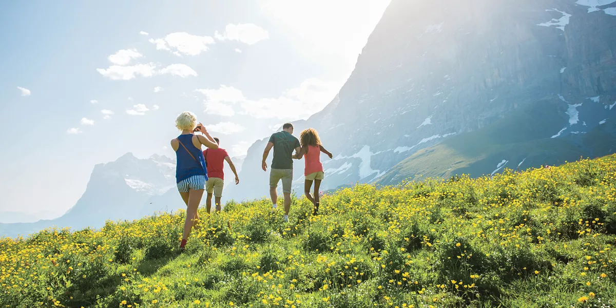 European Whirl Gap Trip