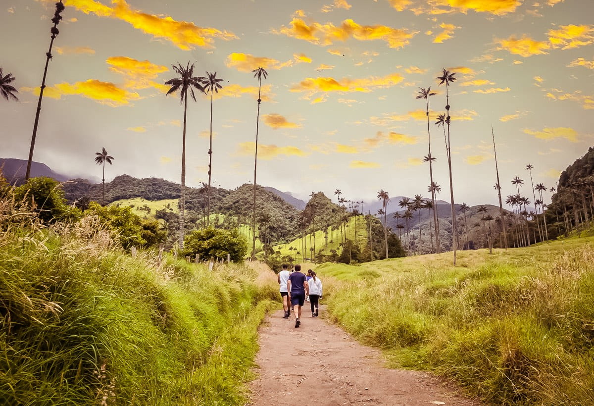 Group of travellers in Cocora Valley in Colombia