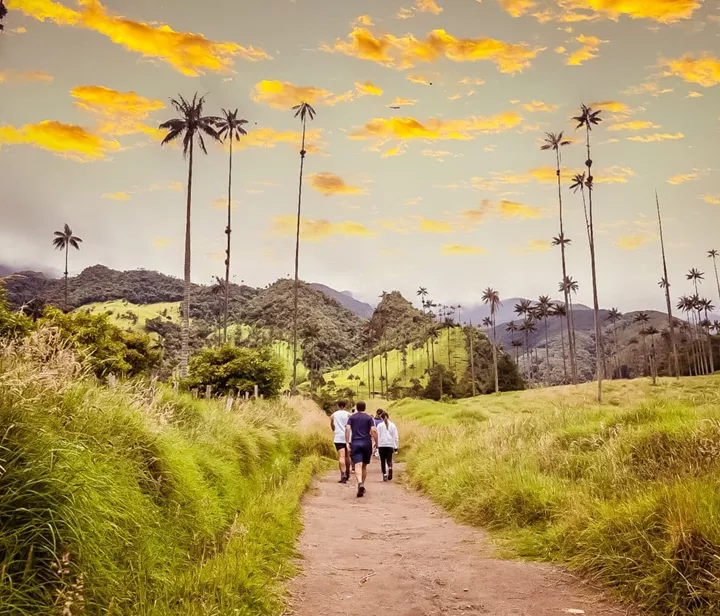 Group of travellers in Cocora Valley in Colombia