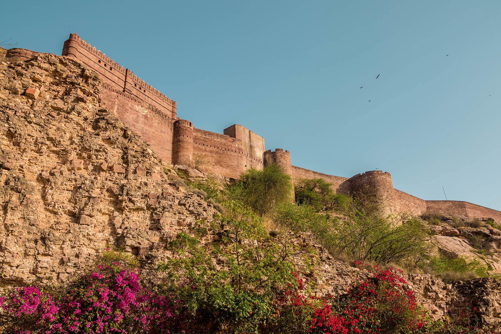 Discover Jodhpur on foot
