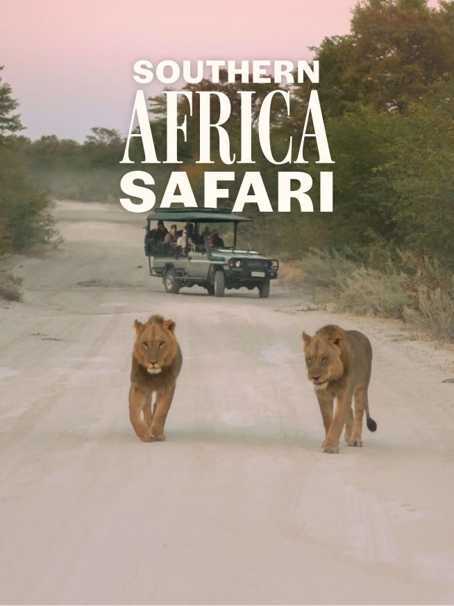 Southern Africa Safari Tour