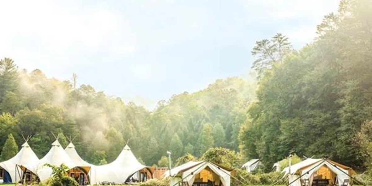 Campsites surrounded by forest