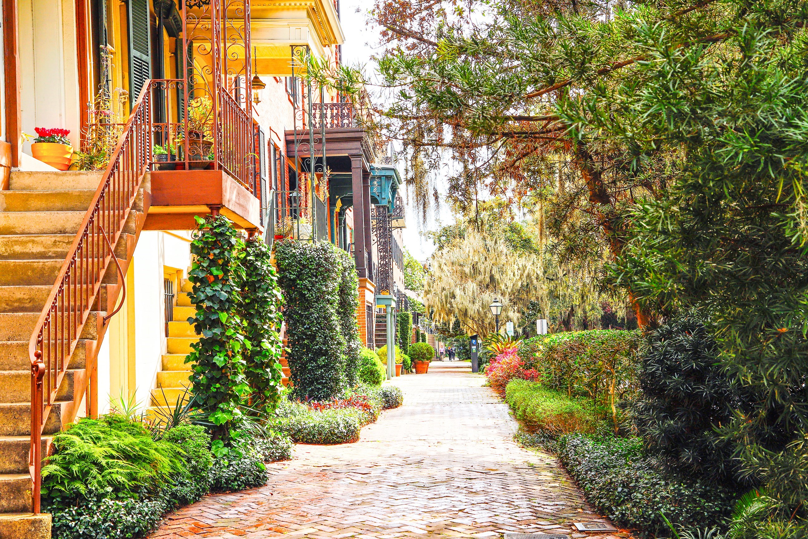 Discover Savannah 
