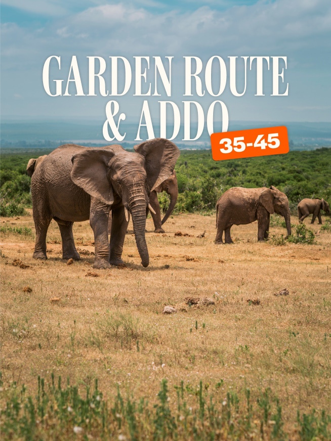 Garden Route & Addo 35 to 45 Tour