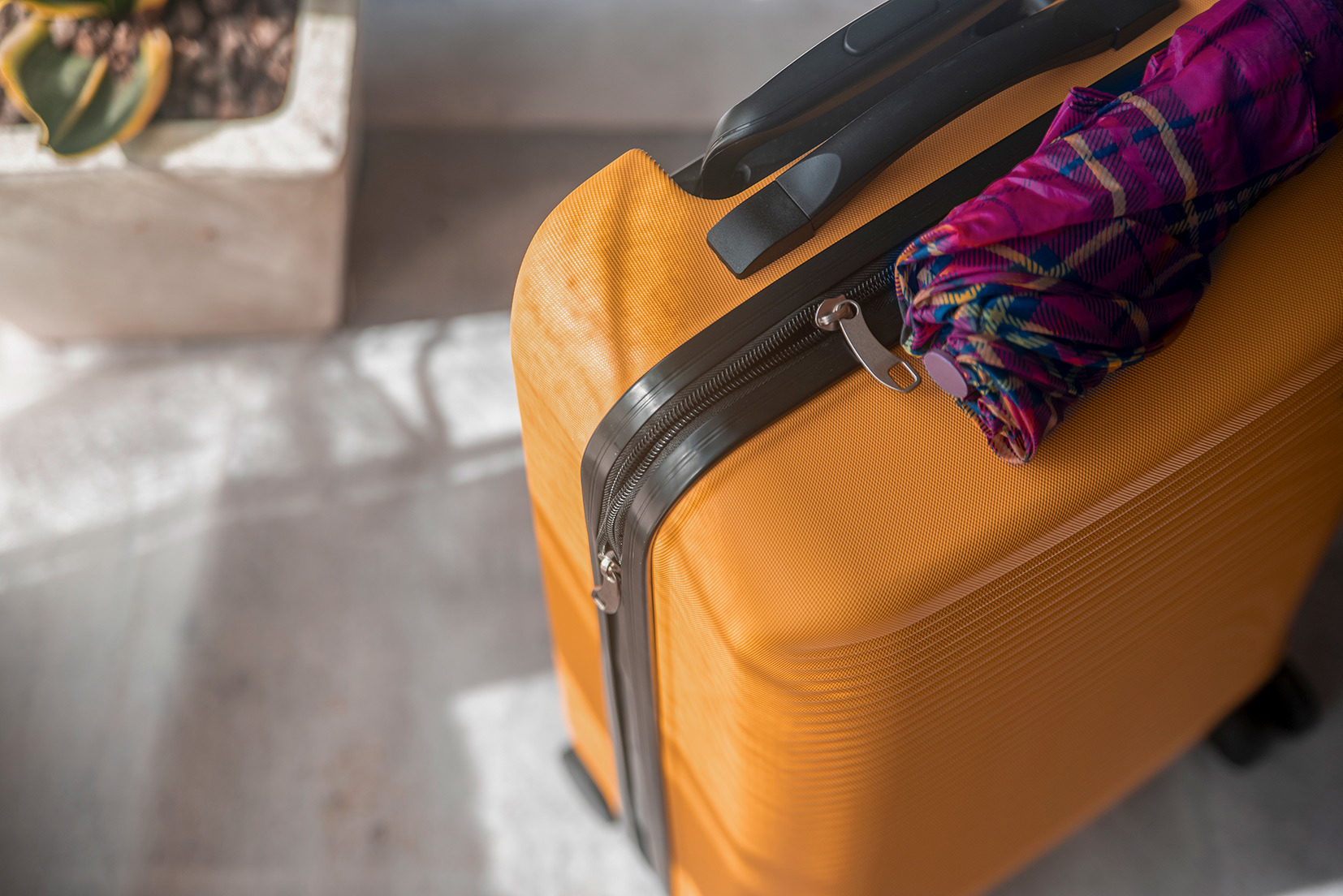 Luggage Transfers