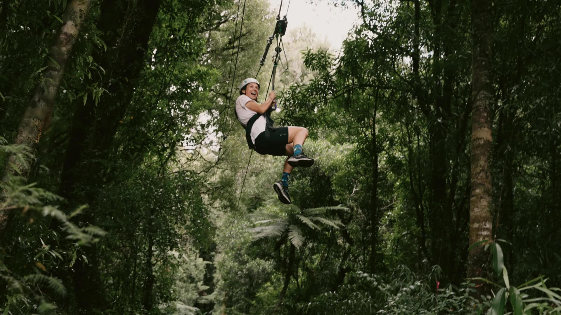Traveller ziplining through native forest in New Zealand - Contiki North Island & Kaikōura Tour