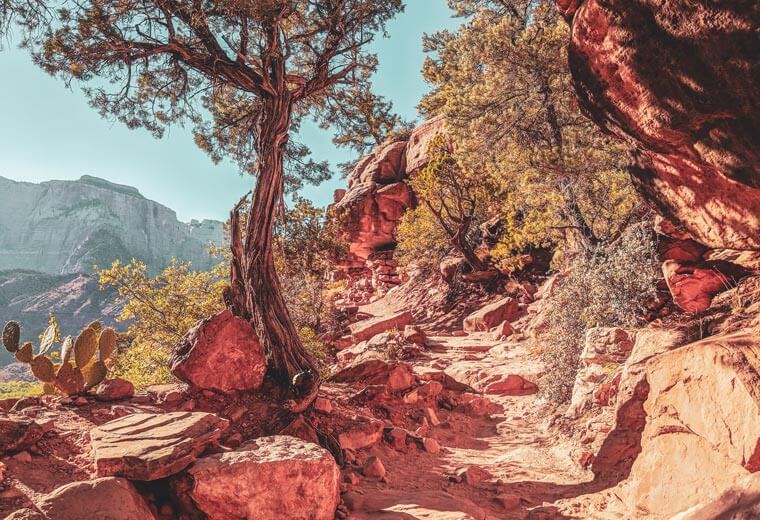 USA Tours, Trips & Vacations 2024 / 2025 Contiki