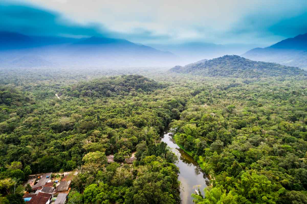Aerial View Of Amazon Rainforest South America