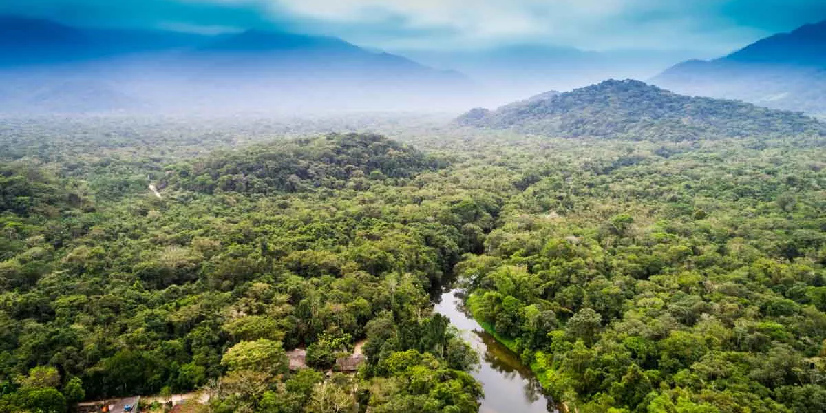 Aerial View Of Amazon Rainforest South America