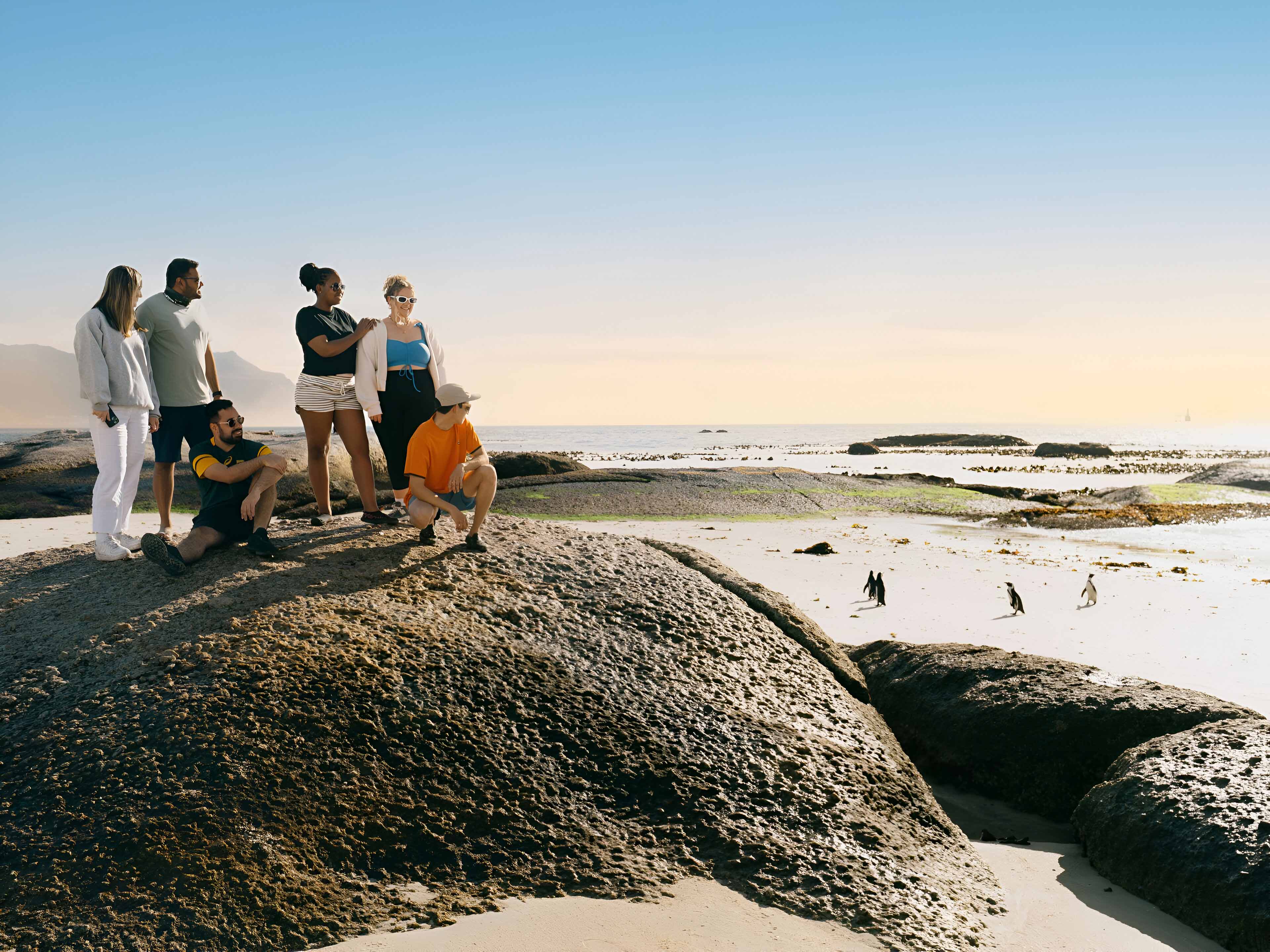 Group Of Young People Enjoying The View Of Pinguins in South Africa