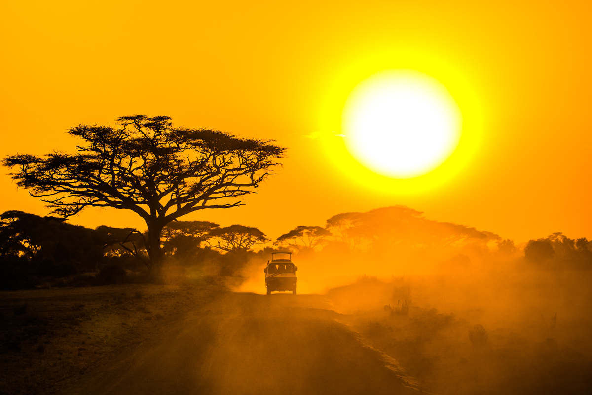 Safari Jeep At Sunset