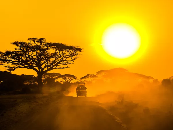 Safari Jeep At Sunset