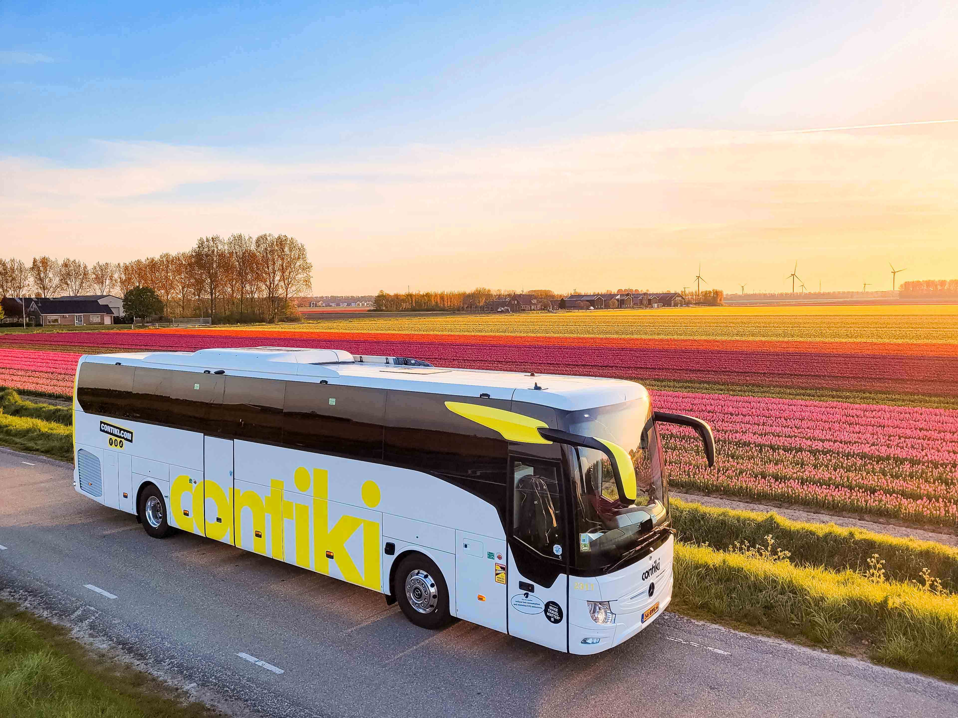 contiki-coach-driving-past-tulip-fields.jpg