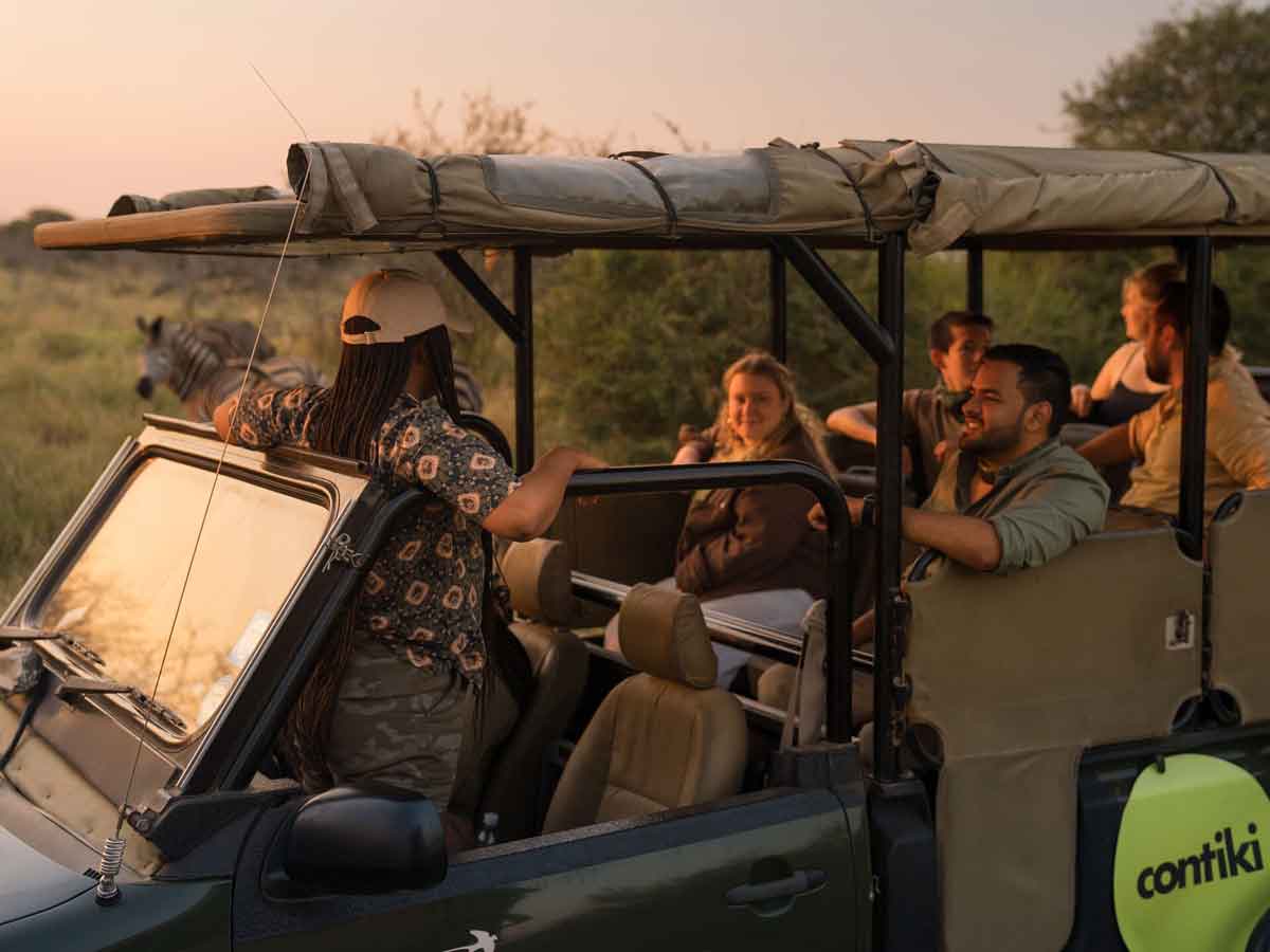 People In Safari Truck Close To Zebras