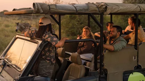 People In Safari Truck Close To Zebras