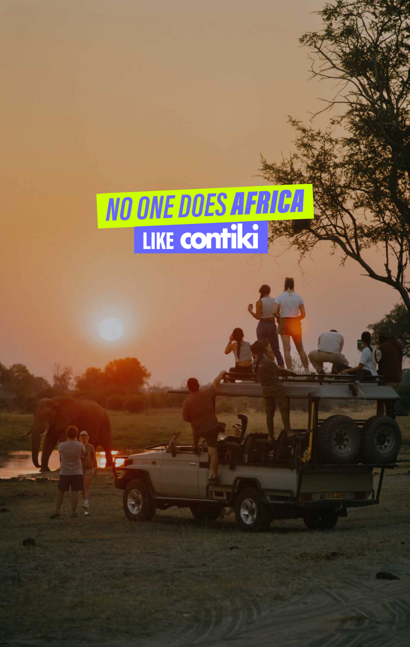 No One Does Africa Like Contiki Card (1)