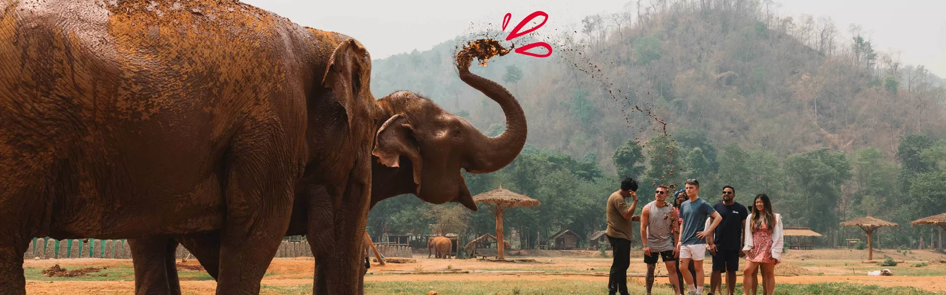 Elephant With Illustration