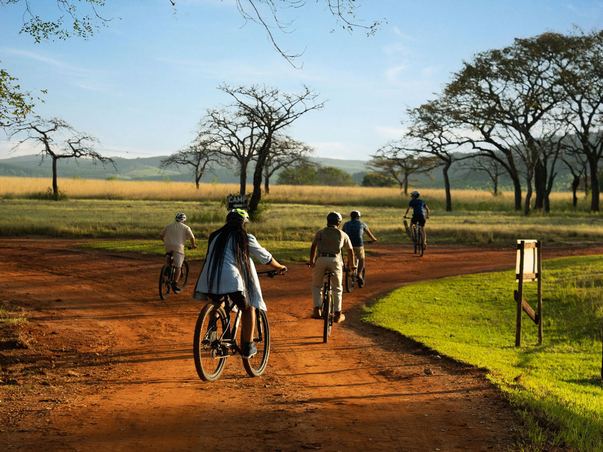 Young People Riding Bikes Sunny Day