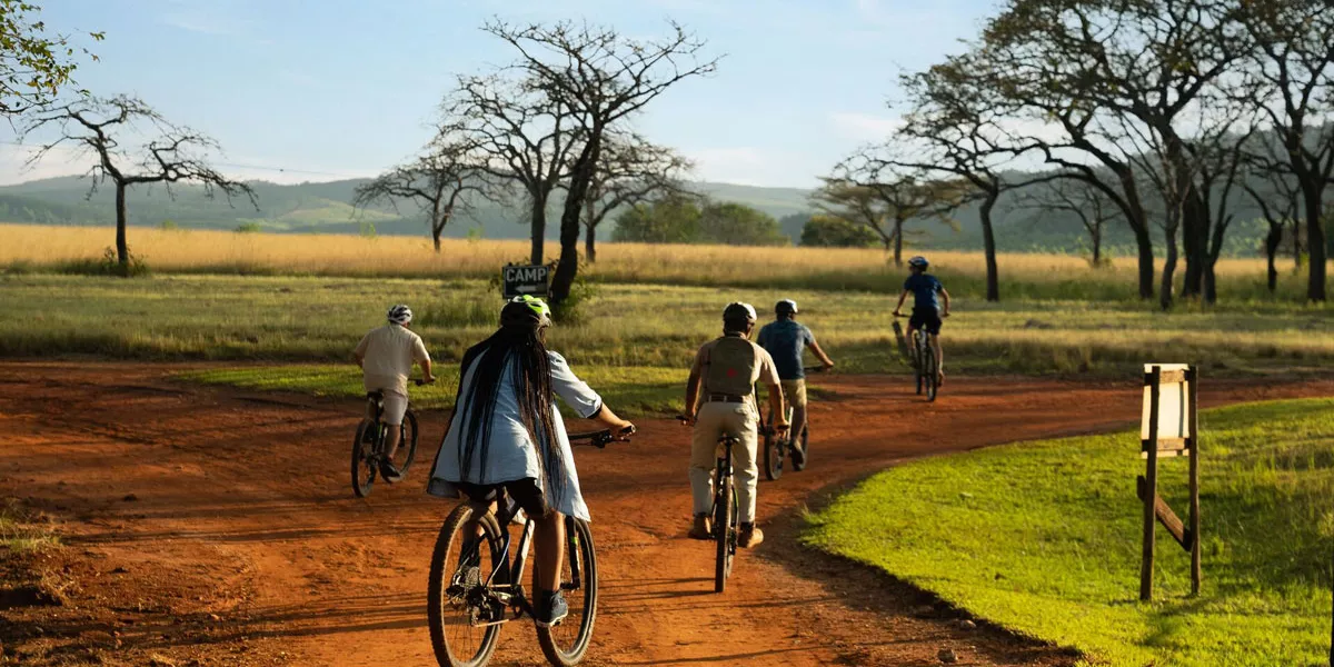 Young People Riding Bikes Sunny Day