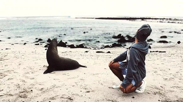 Sea Lion on Galapagos Island Beach