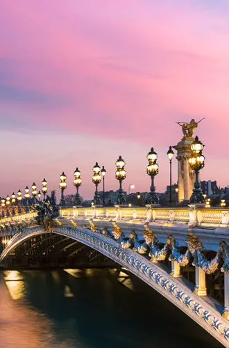 Pont Alexandre III bridge at sunset from the riverbank in Paris, France