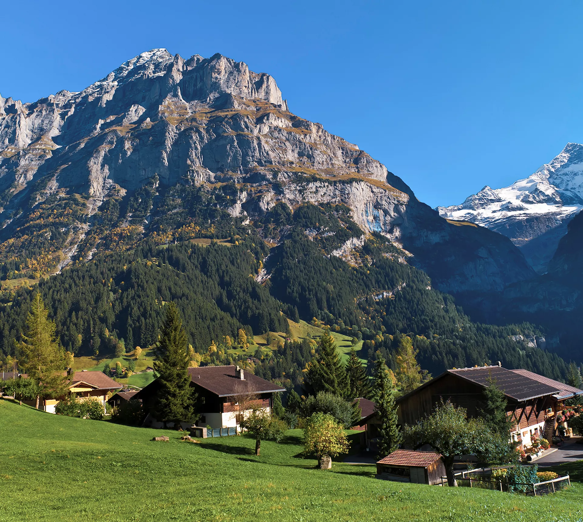 Active Swiss Alps Trip