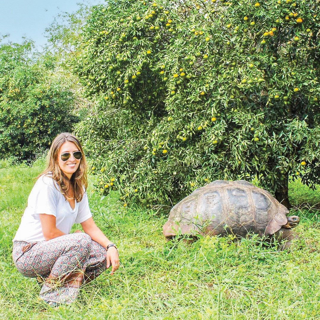  Meet the famous giant tortoises