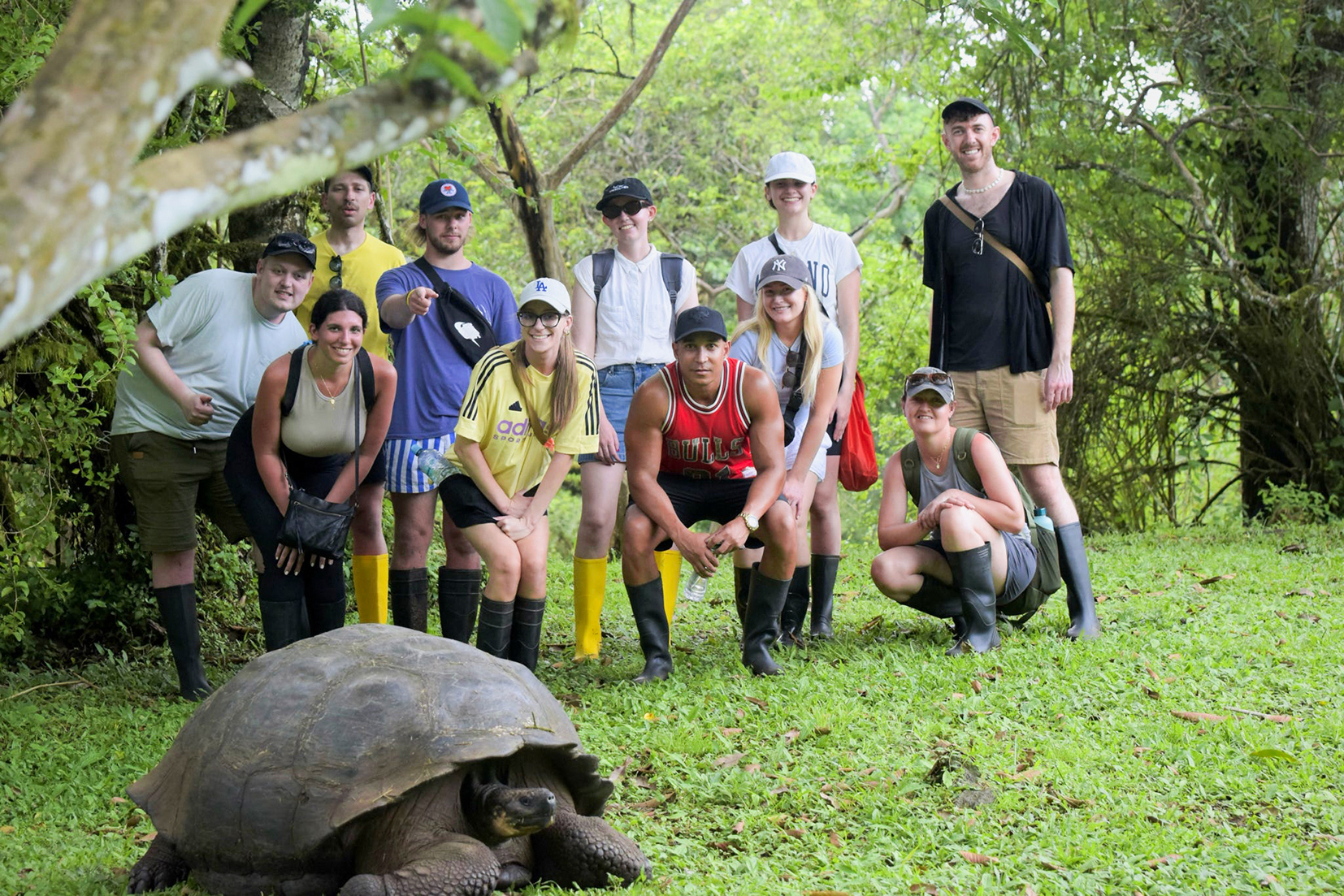 Visit a Tortoise Breeding Centre 