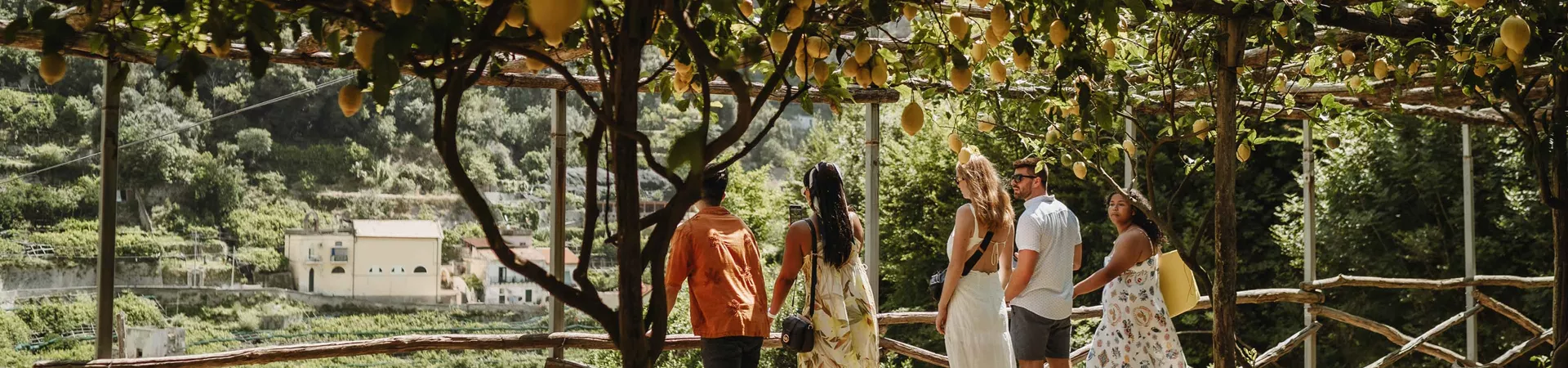 travellers in a lemon orchard