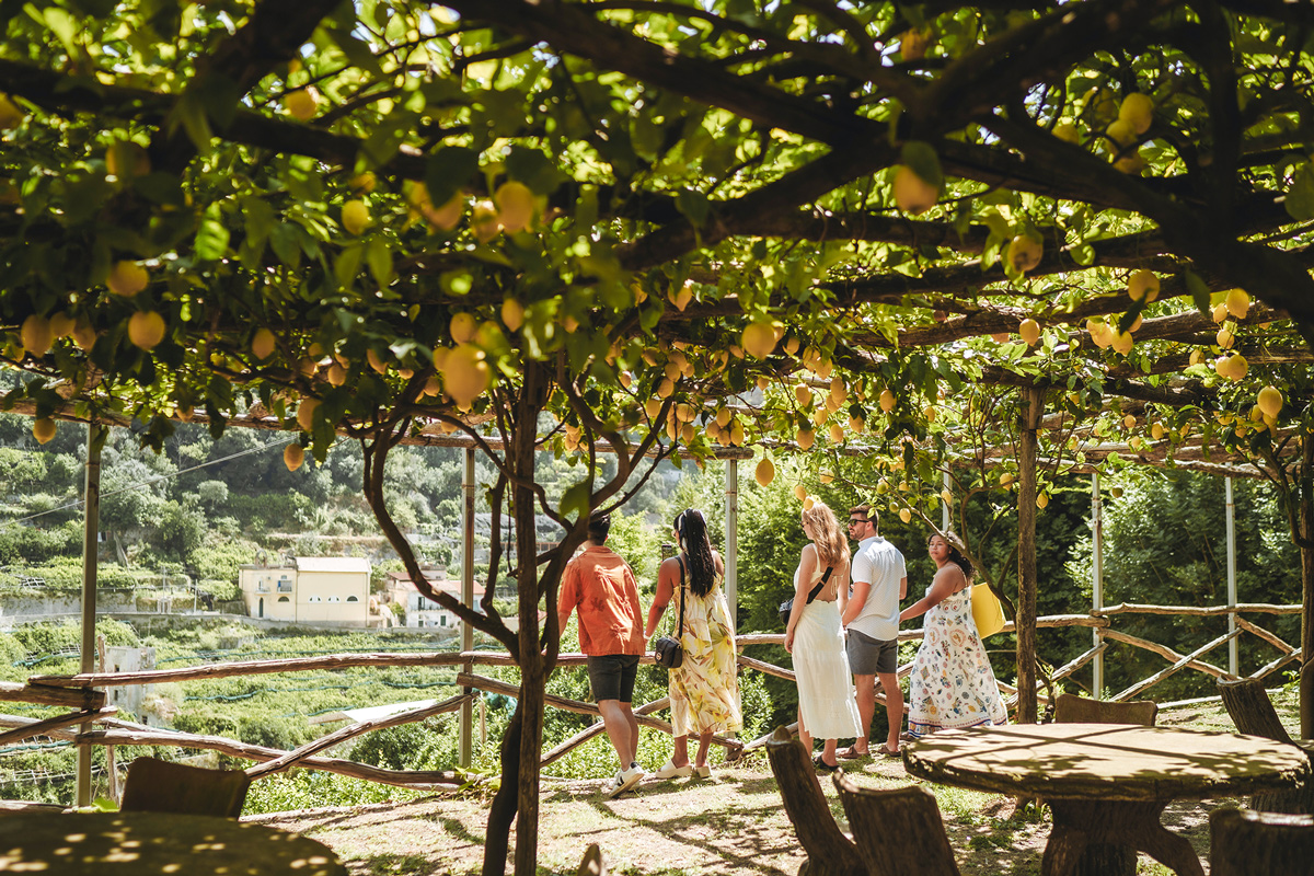 Group Standing Under Lemon Tree In Italy