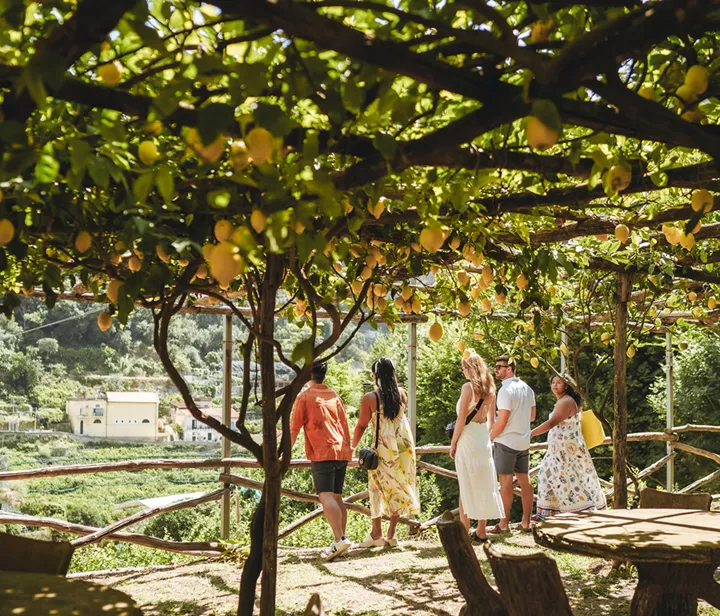Group Standing Under Lemon Tree In Italy