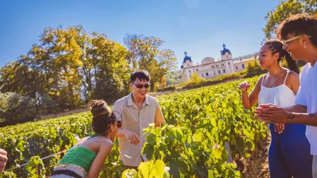 Friends Laughing In Chateau Garden