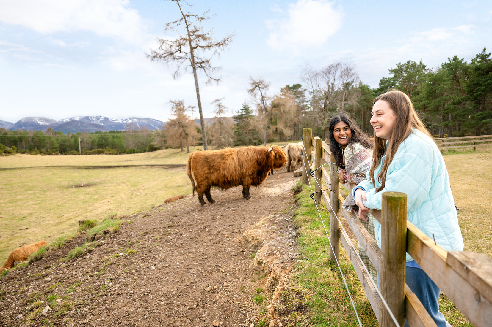 Scotland in a Week 27 to 35