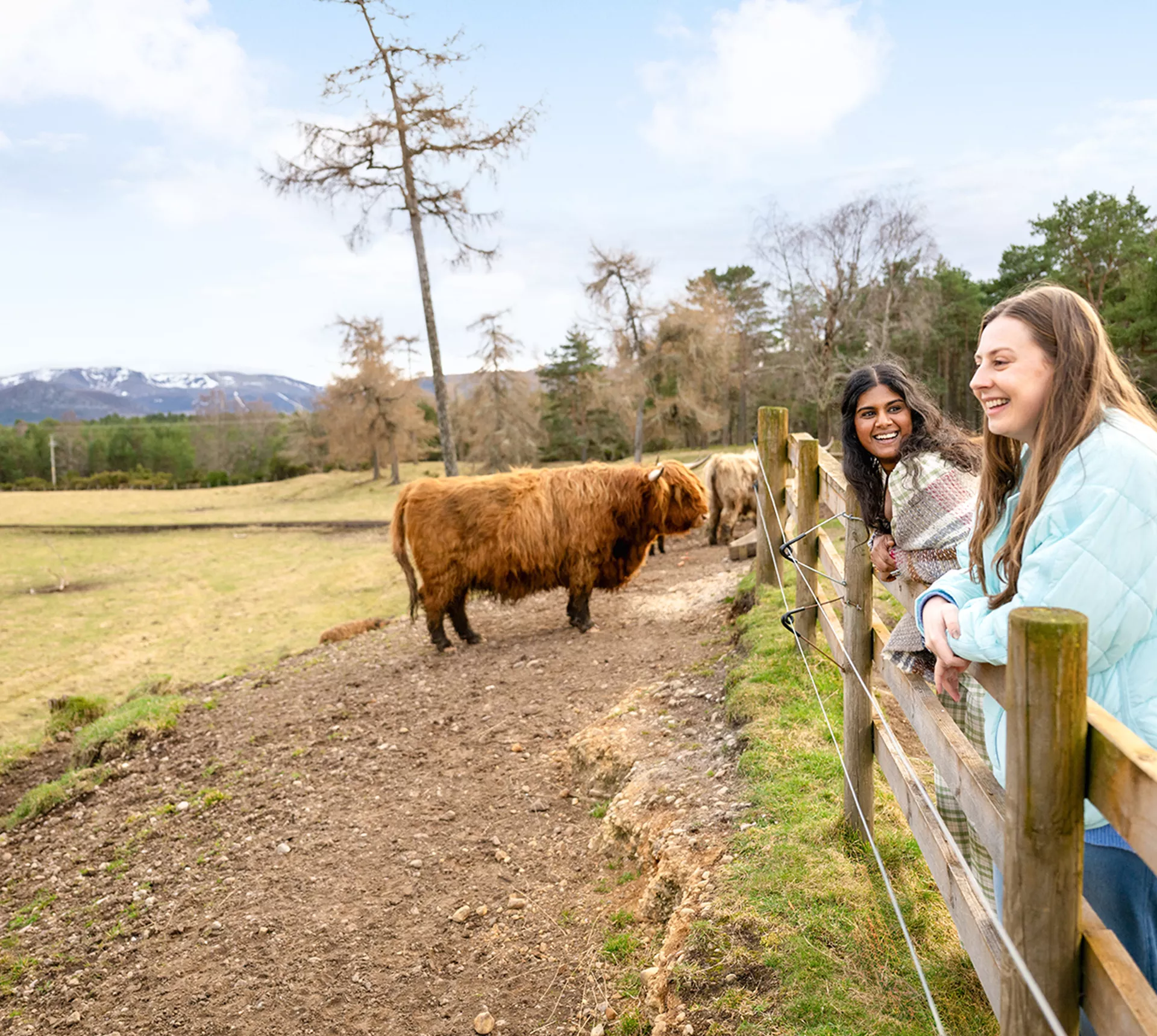 Scotland in a Week 27 to 35