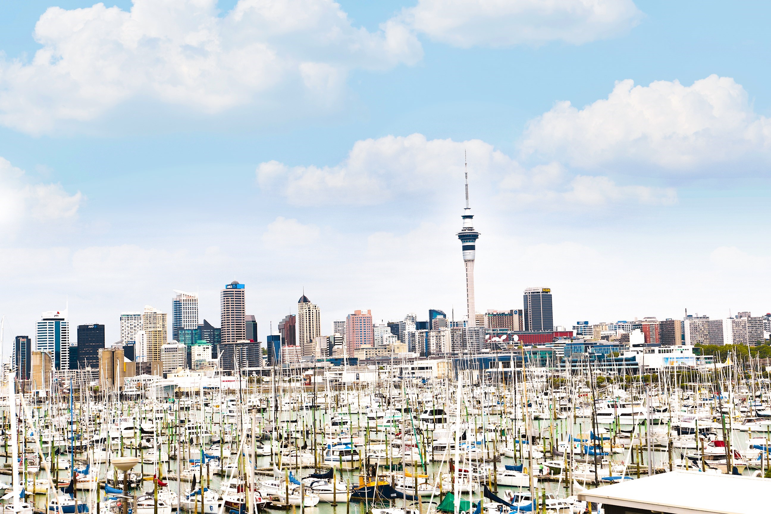 See the Iconic 'City of Sails' Harbour