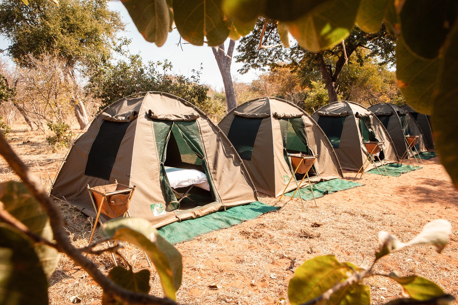 Stay at Contiki Safari Camp