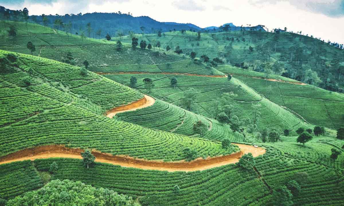 Image Of Country In Sri Lanka