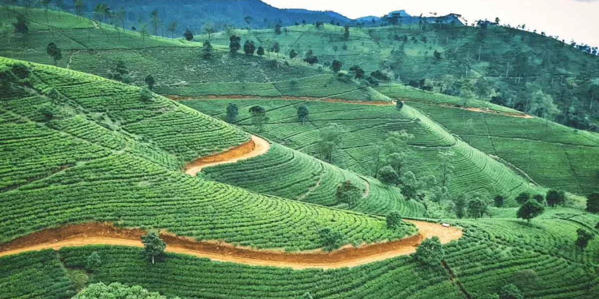 Image Of Country In Sri Lanka