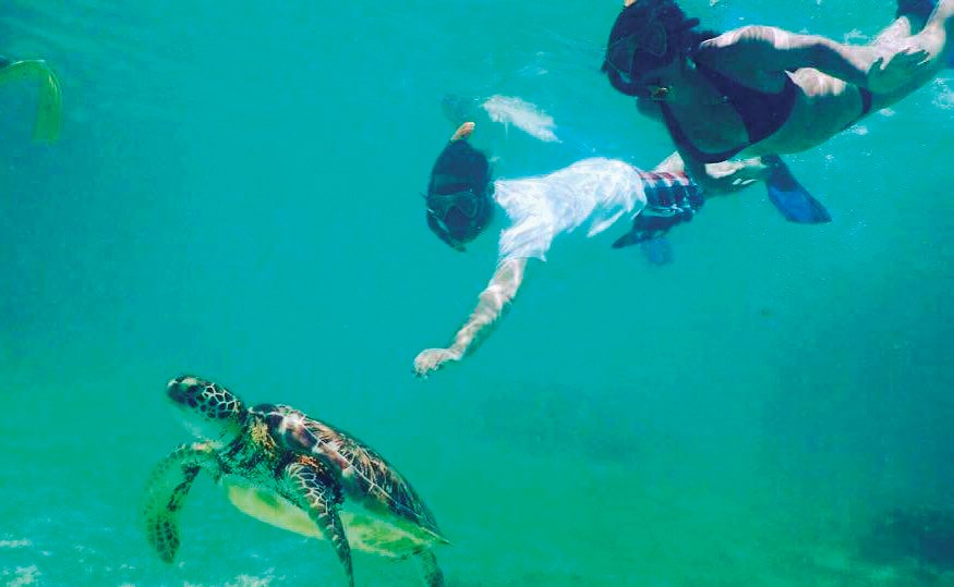 Snorkel around Galápagos 