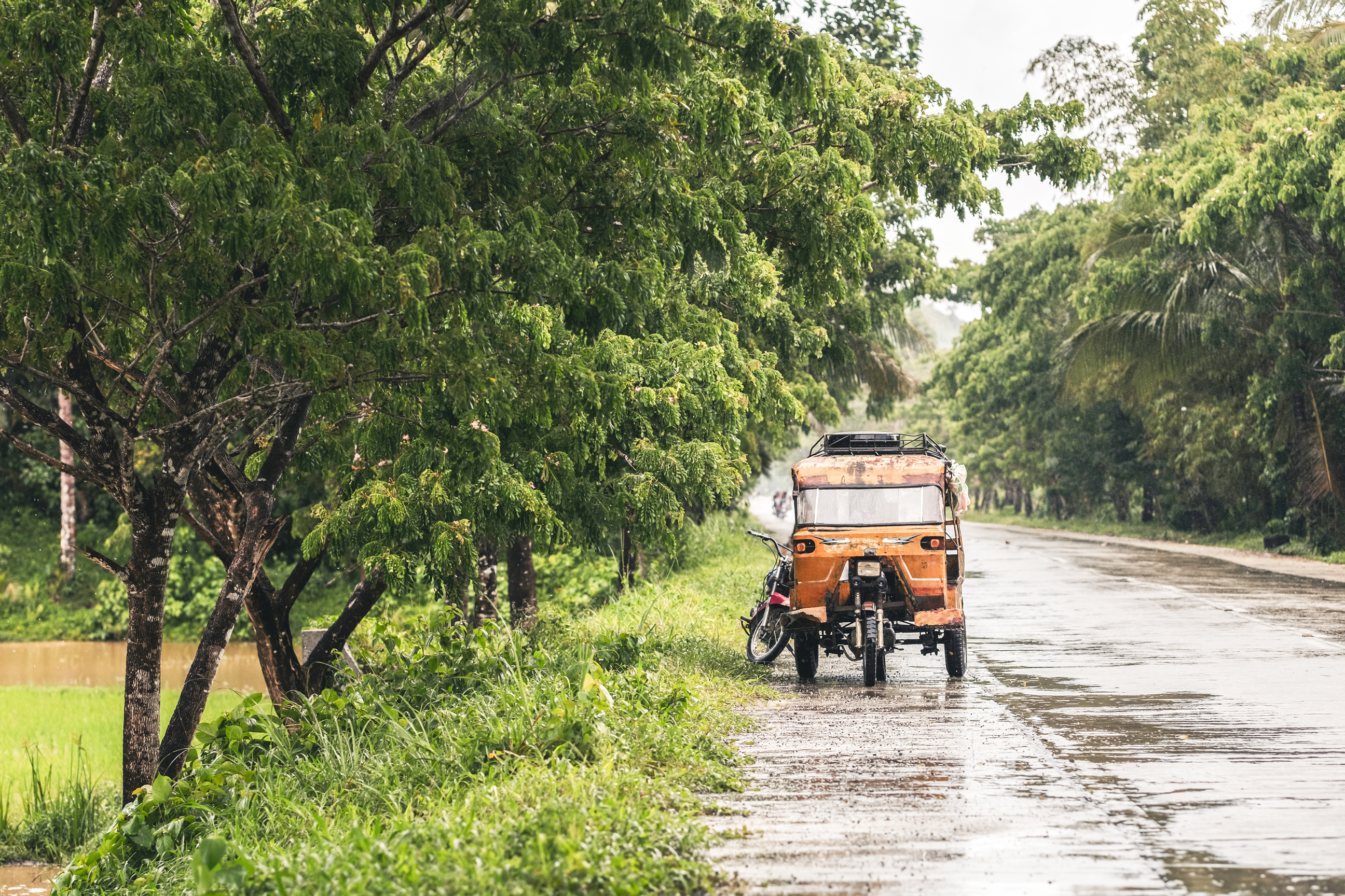 Enjoy a Full Day of Countryside Scenery (from a Tuk Tuk!)