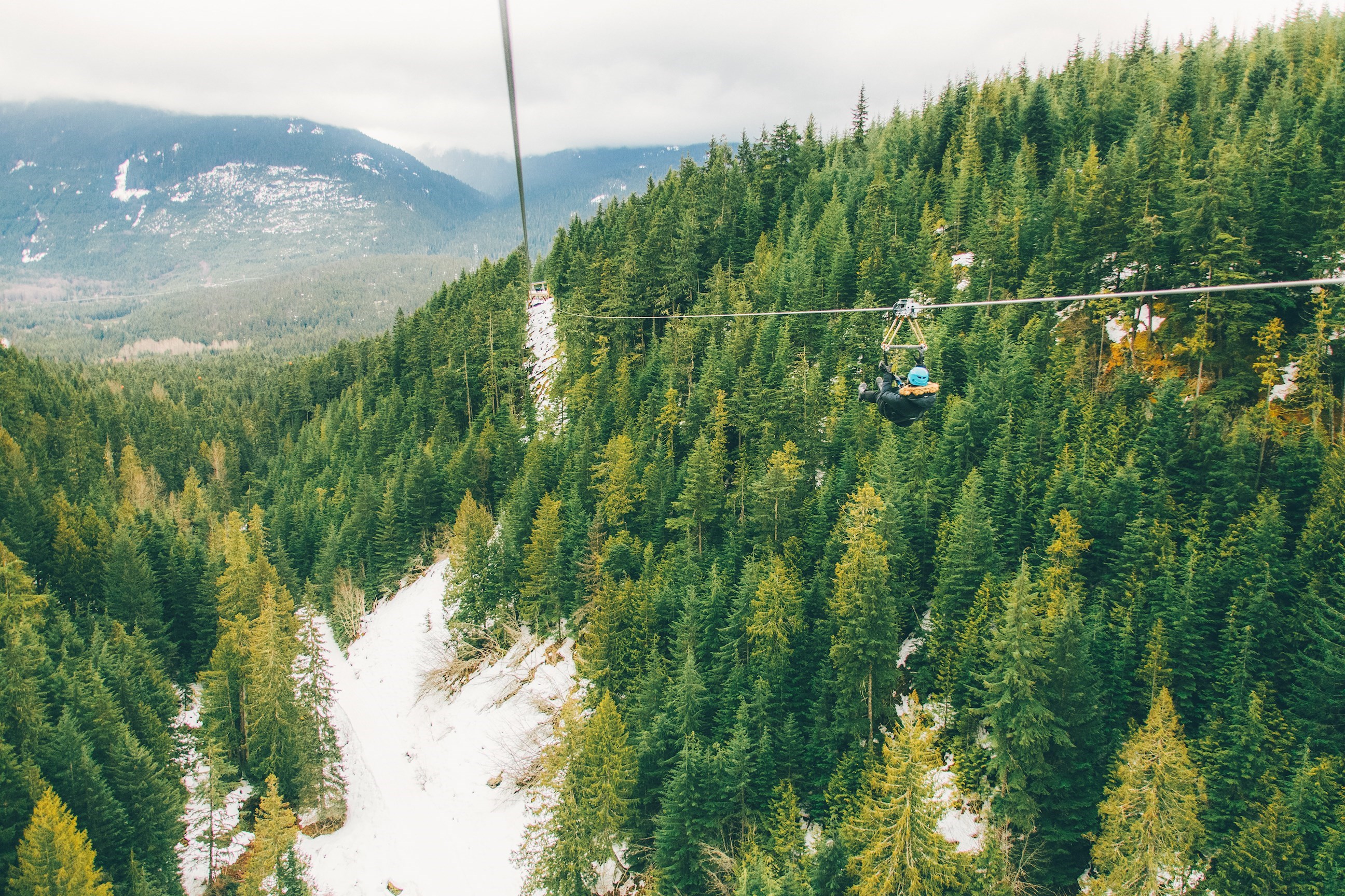Traveller ziplining in Whistler, Canada