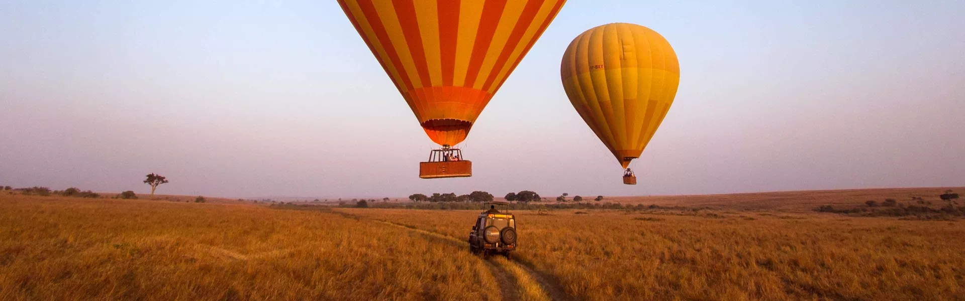 Hot Air Balloon Safari
