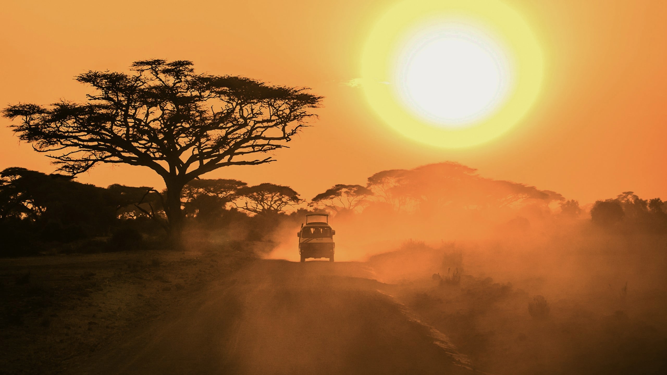 A safari vehicle drives along a dusty road beneath acacia trees as the sun sets over the East African savannah.