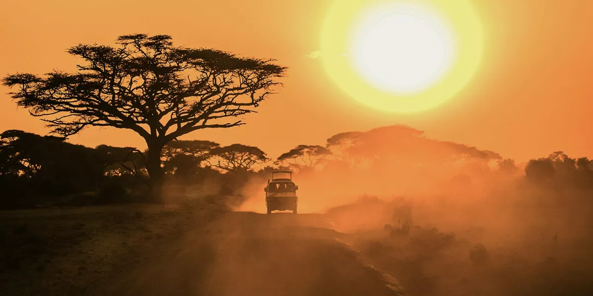 A safari vehicle drives along a dusty road beneath acacia trees as the sun sets over the East African savannah.