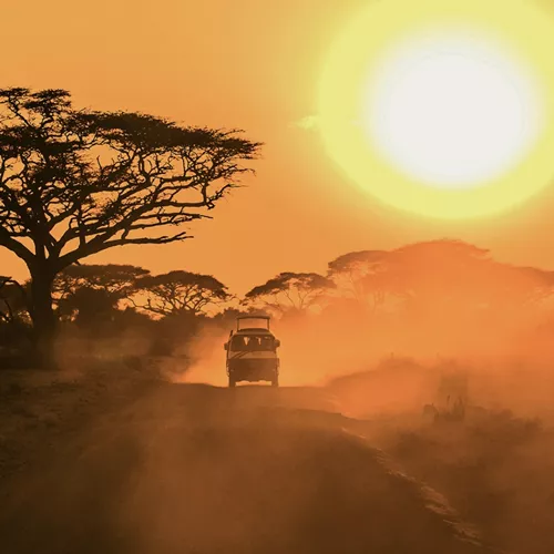 A safari vehicle drives along a dusty road beneath acacia trees as the sun sets over the East African savannah.