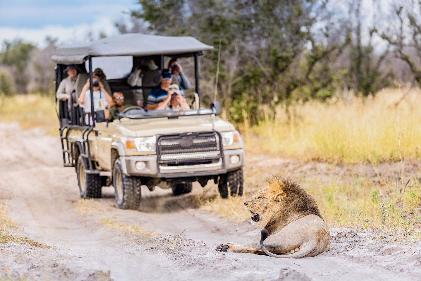 Southern Africa Safari Reunion Trip