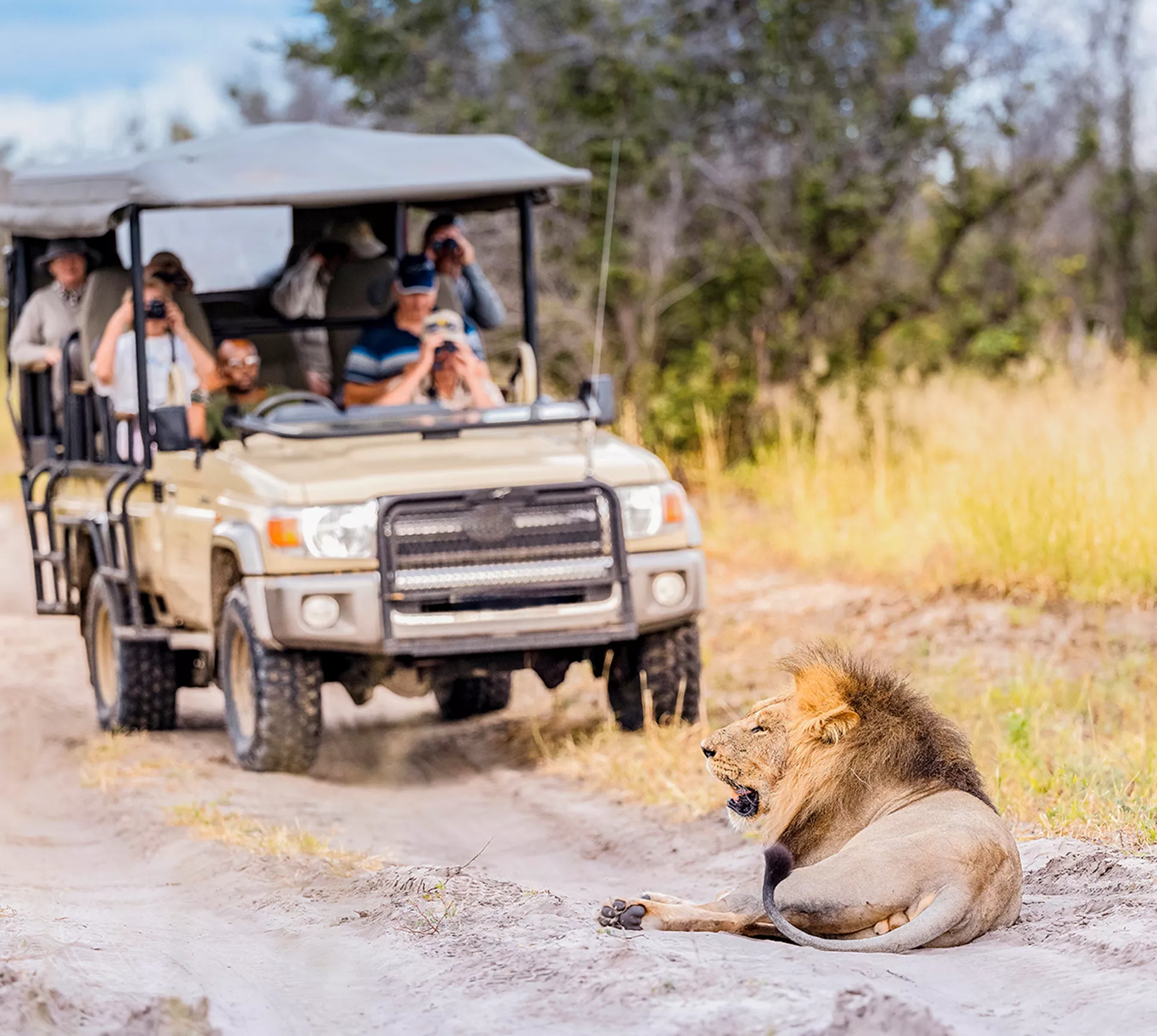 Southern Africa Safari Reunion Trip