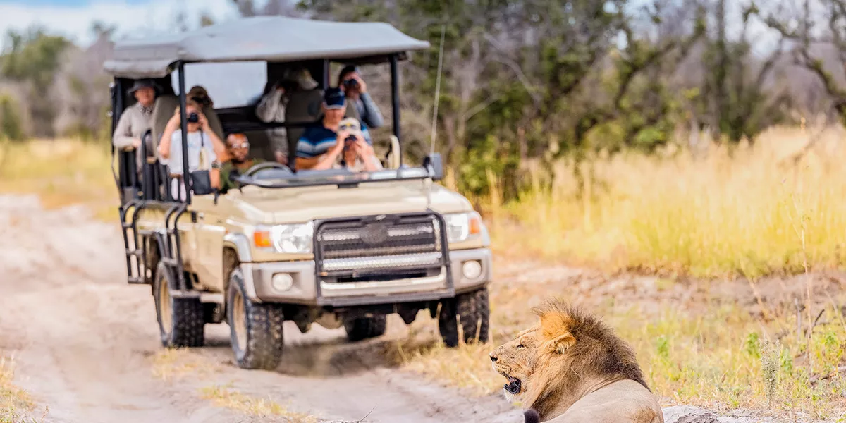 Southern Africa Safari Reunion Trip