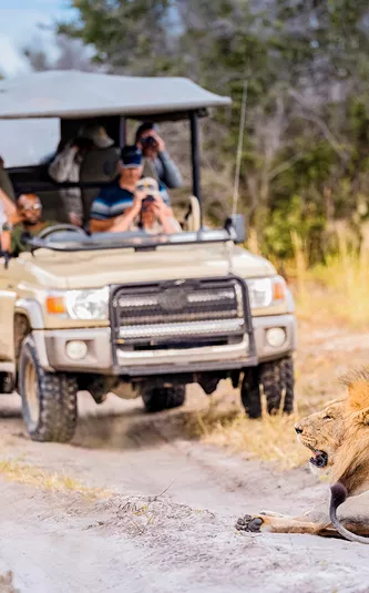 Southern Africa Safari Reunion Trip