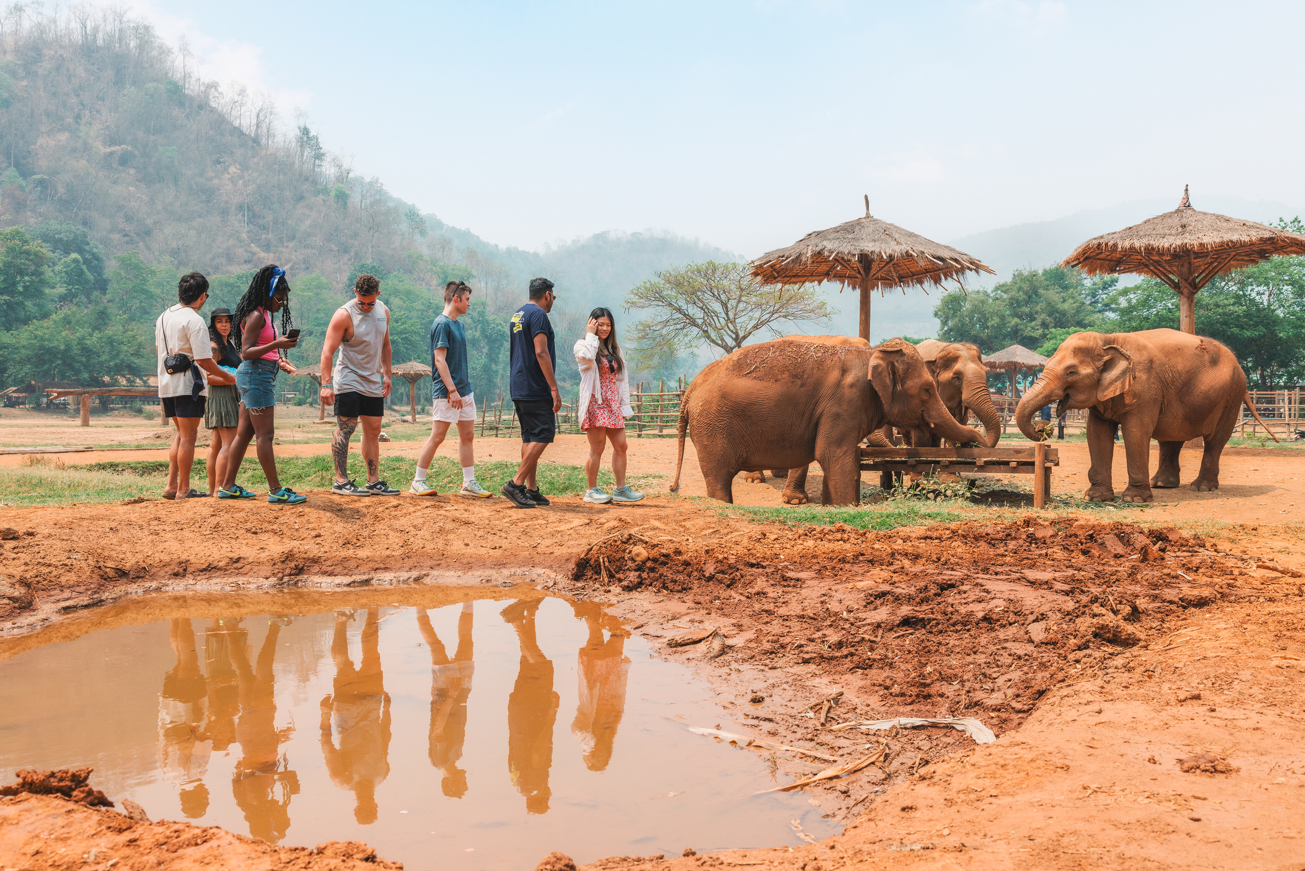 Hang out with Elephants (Ethically) MAKE TRAVEL MATTER® Experience